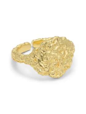 Pure by Nat - Signet ring med foil top