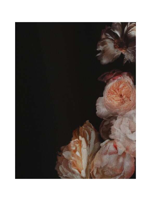 Zimmermann - HYPNOTIC FLUTTER BLUSE