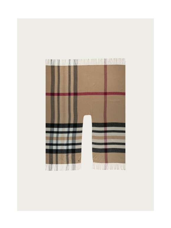 FRAAS - Ternet Poncho