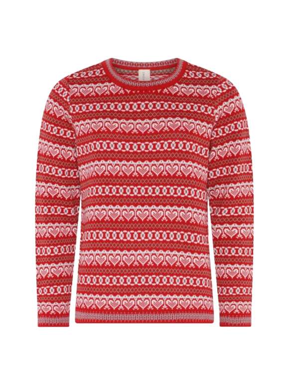 Skovhuus - VINTER STRIK