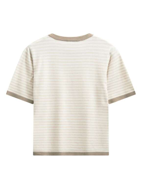 FREEQUENT - ZANTI Strik