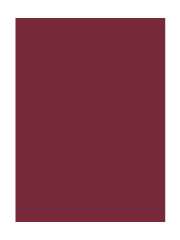 Textil Karntner - Smart Bluse Med Similisten Textil Karntner - Smart Bluse Med Similisten